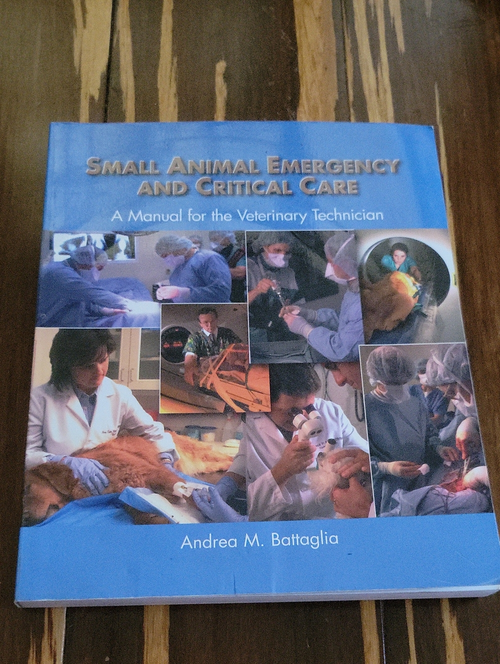 Small Animal Emergency and Critical Care - by Andrea M. Battaglia